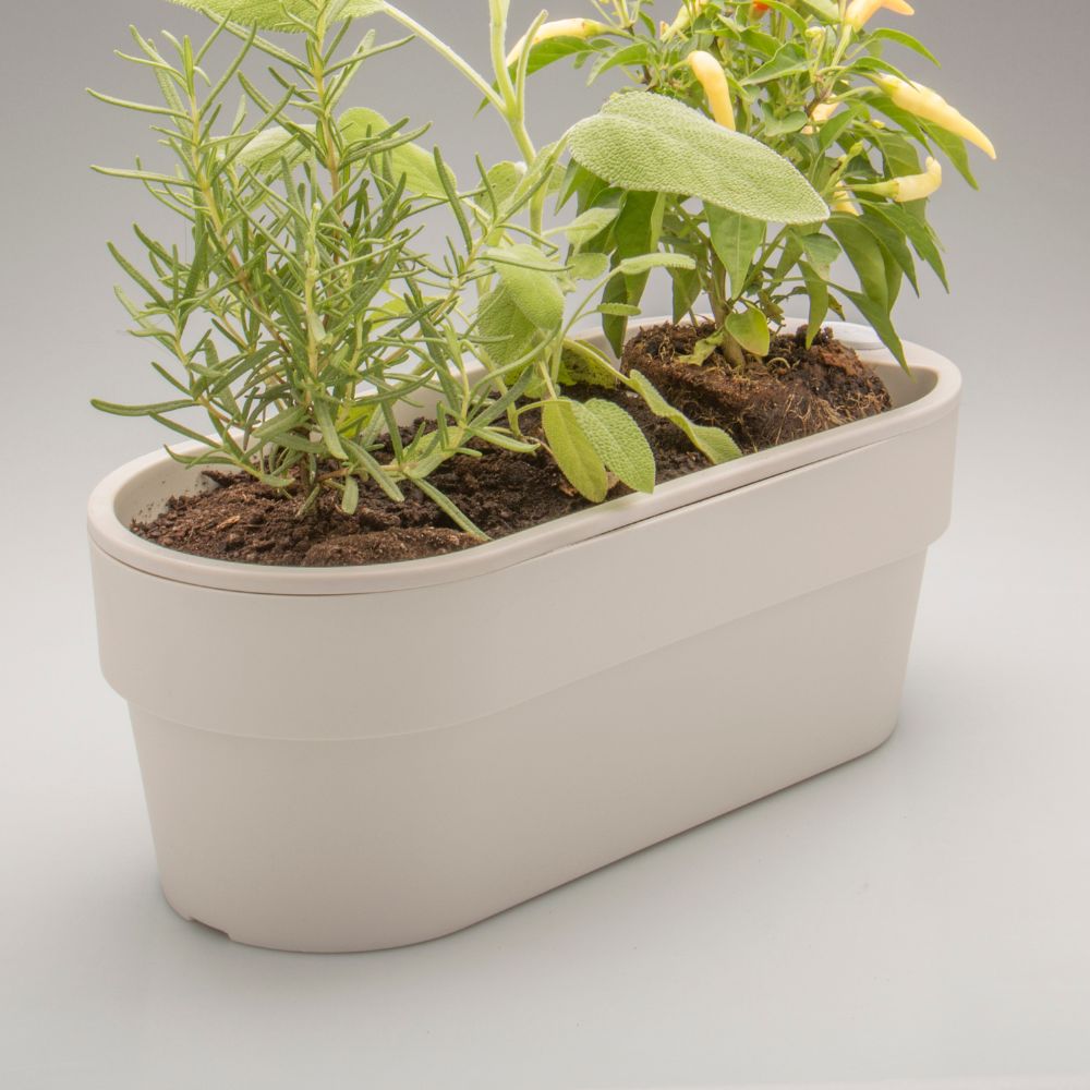 Huerta de Cultivo 29x10x11cm OU «Autoriego» (Beige) - Imagen 5