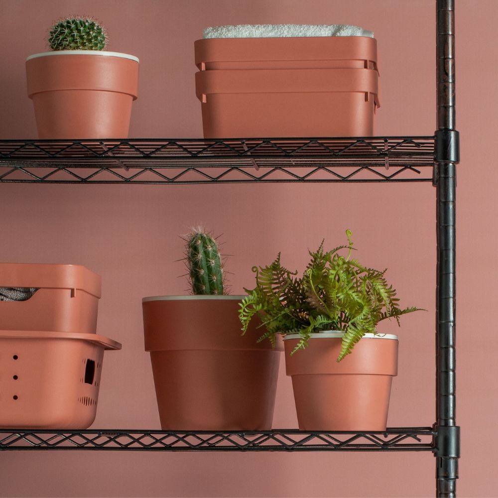 Maceta de Cultivo 15x13cm OU «Autorriego» (Beige) - Imagen 5